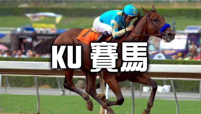 在家就能玩賽馬? KU賽馬 24H不間斷創造高收入!